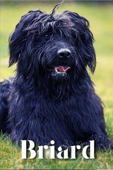 Paperback Briard: Dog breed overview and guide Book