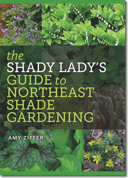 Paperback The Shady Lady's Guide to Northeast Shade Gardening Book