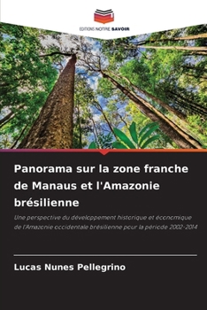 Panorama sur la zone franche de Manaus et l'Amazonie brésilienne (French Edition)