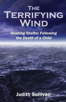 Paperback The Terrifying Wind: Seeking Shelter Following the Death of a Child Book