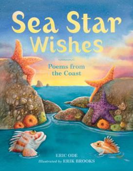 Hardcover Sea Star Wishes: Poems from the Coast Book