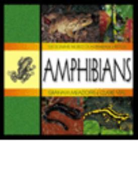 Paperback Amphibians Book