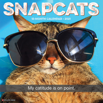 Calendar Snapcats 2021 Wall Calendar Book