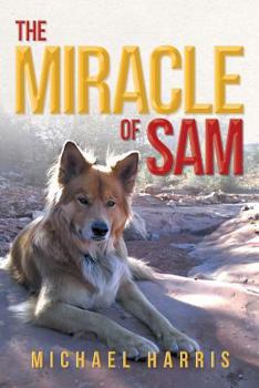 Paperback The Miracle of Sam Book
