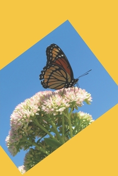 Paperback A Journal of Miracles Book