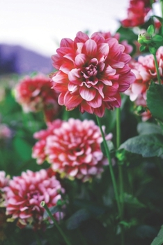 Journal: 150 Dot Grid Sheets, 6x9 Inches, Flowers, Floral, Plan Your Day and Organize Your Life, Tracker, Productivity, Diary, Notebook (BRIGHT RED)