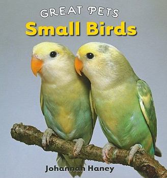 Library Binding Small Birds Book