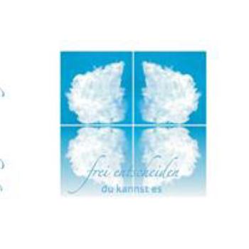 Paperback Frei entscheiden. Du kannst es: Schlapfel [German] Book