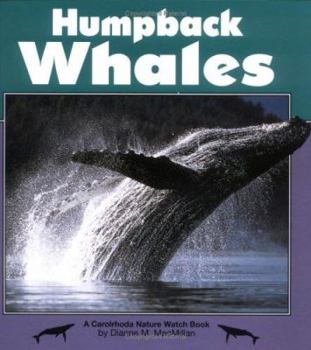 Hardcover Humpback Whales Book