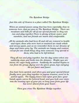 The Rainbow Bridge: Large Lined Journal 8.5 x 11 300 Pages