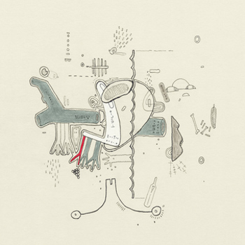 Vinyl Tiny Changes: A Celebration Of Frightened Rabbit's Book