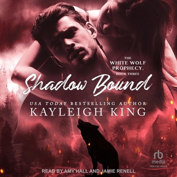 Audio CD Shadow Bound Book