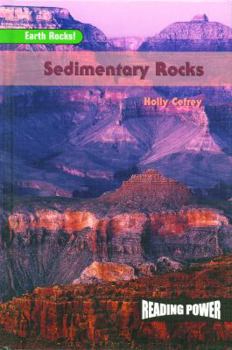 Library Binding Sedimentary Rocks Book