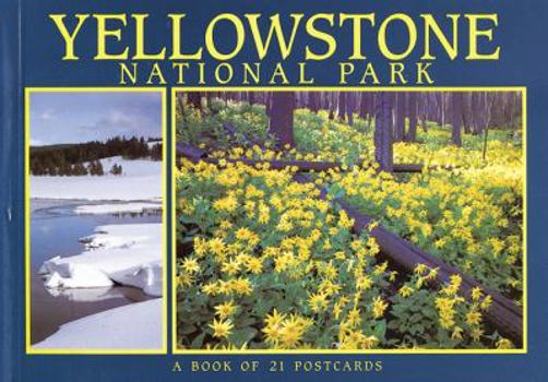 Paperback Yellowstone National Park (ID/MT/WY): A Book of 21 Postcards Book