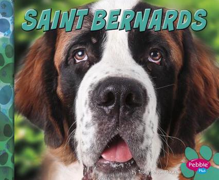 Hardcover Saint Bernards Book