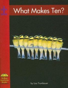 Paperback What Makes Ten? Book