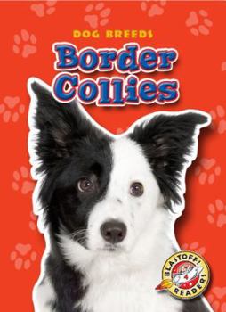 Border Collies - Book  of the Dog Breeds