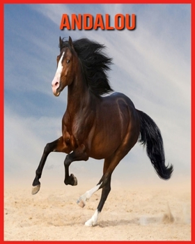 Paperback Andalou: Recueil pour Enfants de Belles Images & d'Informations Int?ressantes Concernant les Andalou [French] Book