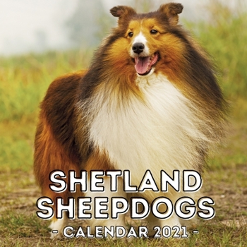 Shetland Sheepdogs: 2021 Calendar, Cute Gift Idea For Sheltie Lovers Or Owners Men And Women