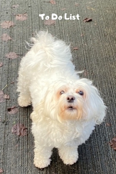 Paperback To do list: 100 page to do list with tick box to check when task has been completed. Handy 6x9 size. Cute maltese dog with blue & Book
