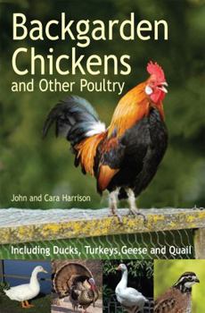 Paperback Backgarden Chickens and Other Poultry Book