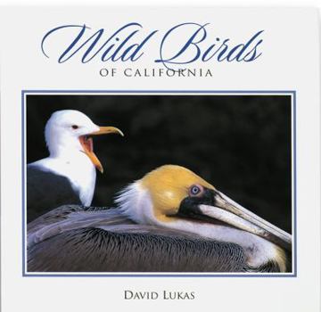 Paperback Wild Birds of California Book