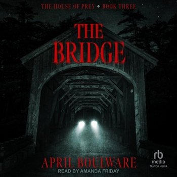 MP3 CD The Bridge Book