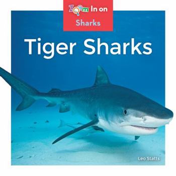 Library Binding Tiger Sharks Book