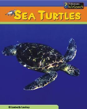 Hardcover Sea Turtles Book