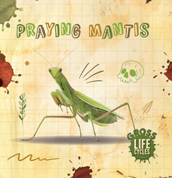 Paperback Praying Mantis Book