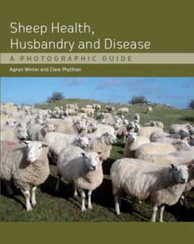 Hardcover Sheep Health, Husbandry and Disease: A Photographic Guide Book