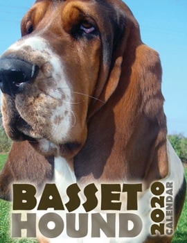 Paperback Basset Hound 2020 Calendar Book