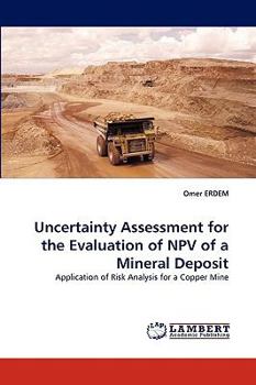 Paperback Uncertainty Assessment for the Evaluation of NPV of a Mineral Deposit Book