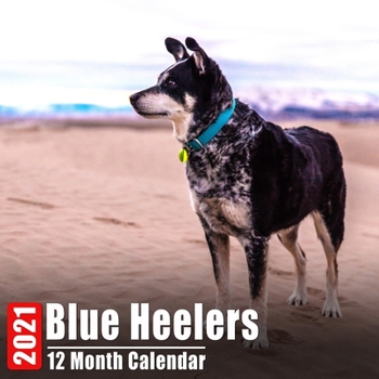 Paperback Calendar 2021 Blue Heelers: Cute Blue Heeler Photos Monthly Mini Calendar With Inspirational Quotes each Month Book