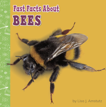 Paperback Fast Facts about Bees Book
