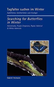 Tagfalter suchen im Winter / Searching for Butterflies in Winter: Zipfelfalter, Schillerfalter und Eisvögel / Hairstreaks, Purple Emperors, Poplar Admiral & White Admirals