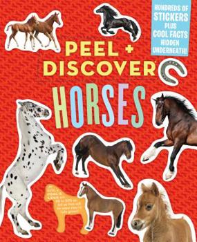 Paperback Peel + Discover: Horses Book