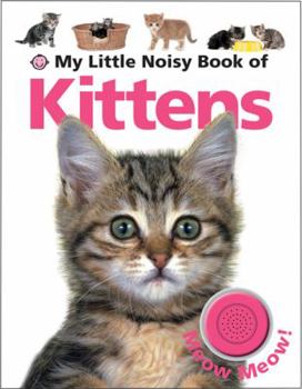 Board book My Little Noisy Book of Kittens Book