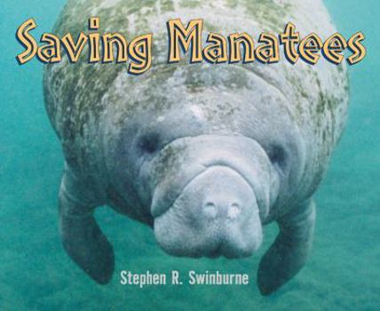 Hardcover Saving Manatees Book