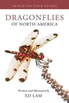 Paperback Dragonflies of North America Book