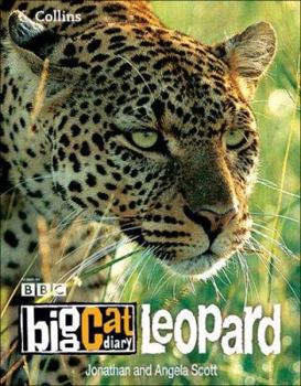 Paperback Leopard Book