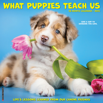 Calendar What Puppies Teach Us 2024 12 X 12 Wall Calendar Book
