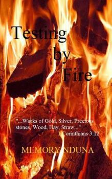 Paperback Testing by Fire: ...works of Gold, Silver, Precious stones, Wood, Hay, Straw...1 Corinthians 3:12 Book