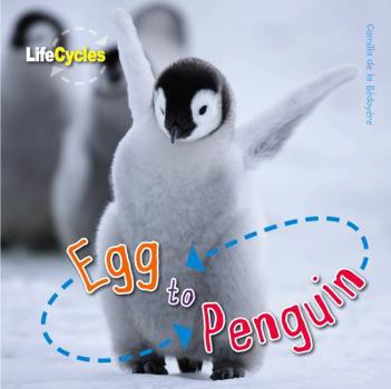 Paperback Egg to Penguin. Camilla de La Bdoyre Book