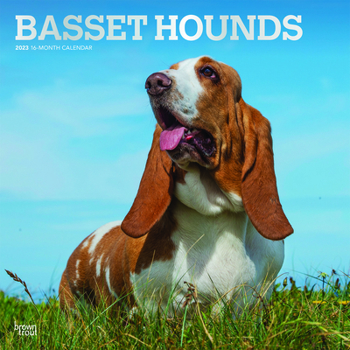 Calendar Basset Hounds 2023 Square Foil Book