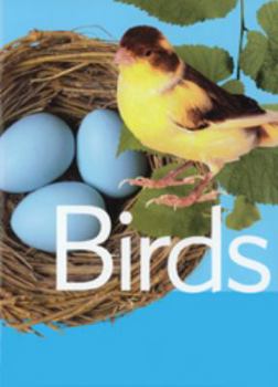 Hardcover birds Book