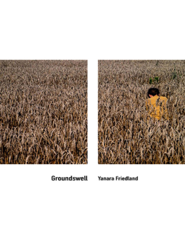 Paperback Groundswell Book