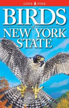 Paperback Birds of New York State Book