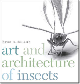 Paperback Art and Architecture of Insects Book