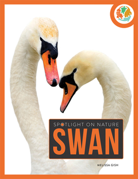 Paperback Swan Book